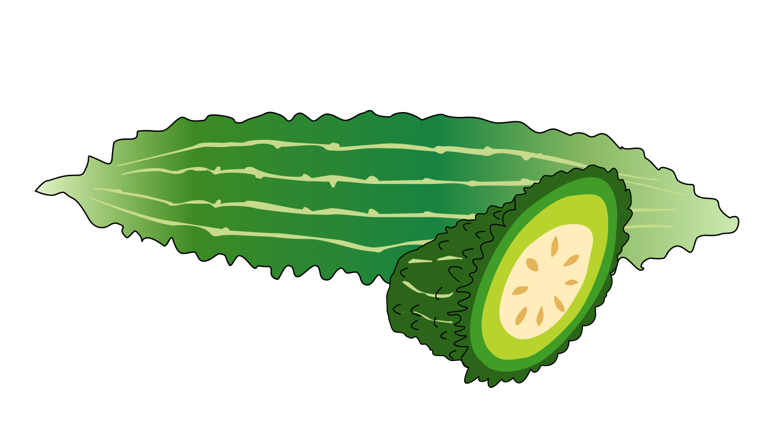 季節の野菜で夏の挨拶文 ゴーヤのイラスト 季節のあいさつ文 季節の野菜で夏の挨拶文 ゴーヤのイラスト 季節のあいさつ文