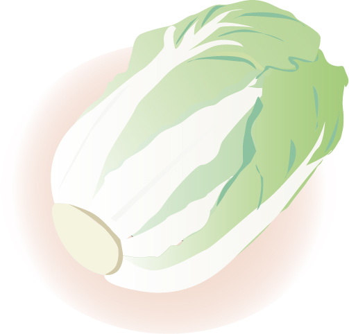季節のあいさつ文に使える野菜 秋 11月 無料イラスト 白菜 白葱 季節のあいさつ文